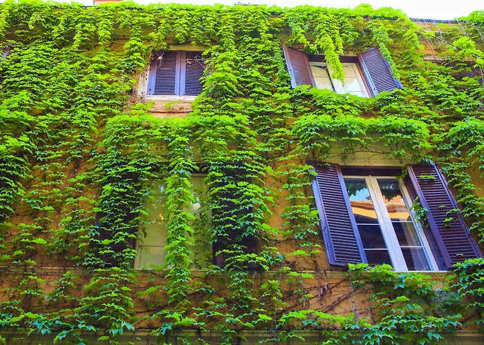 Babuino 79 4* Roma